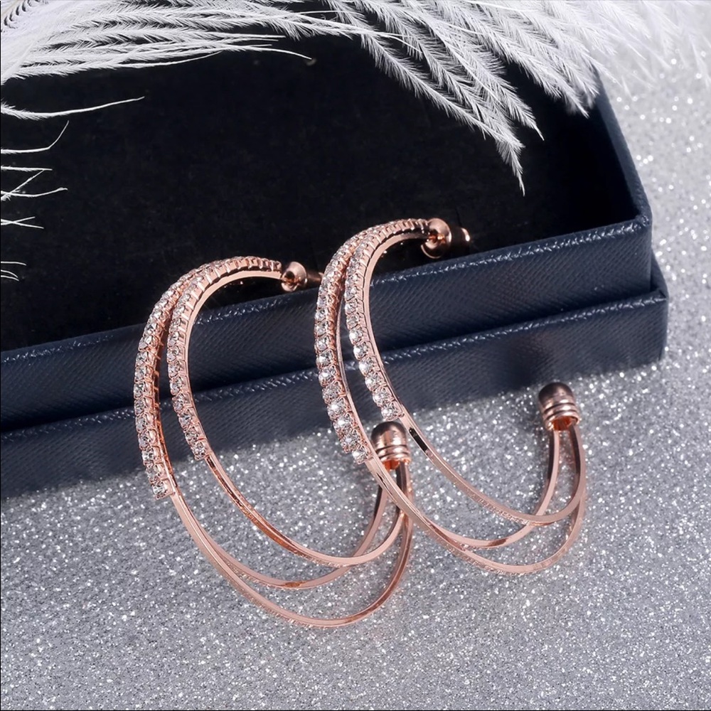 New Women’s Multilayer Round Diamond Earrings - Picture 9 of 10